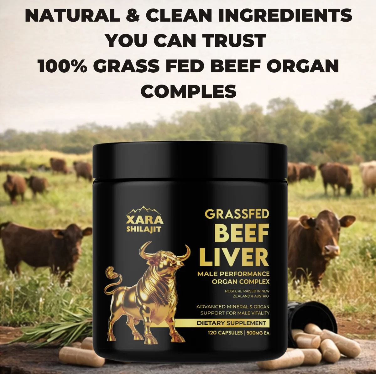 XARA SHILAJIT® Beef Liver - Image 8